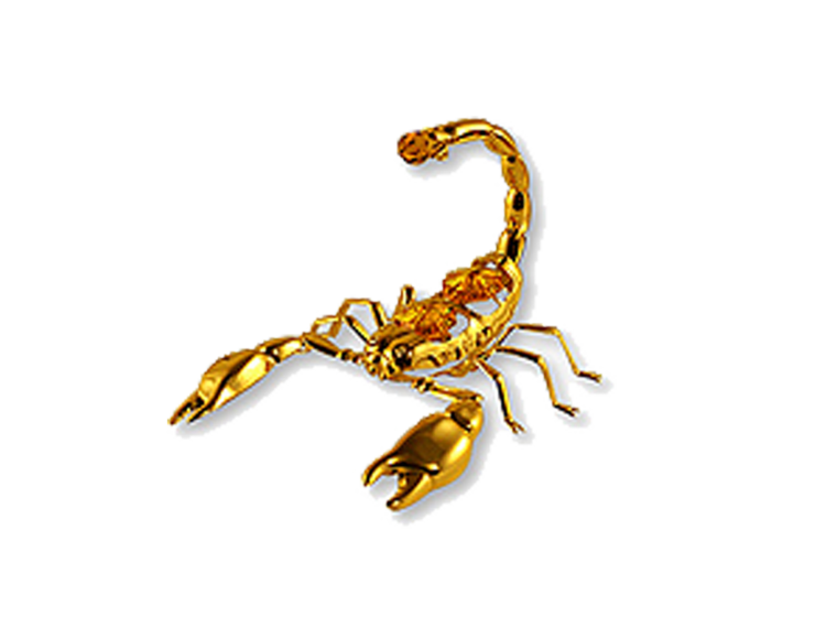 Скорпион тату рисунок цветными карандашами