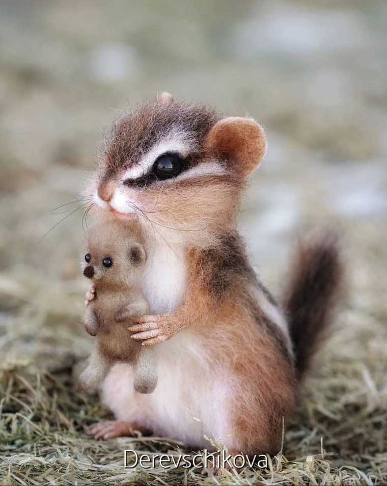 Спящий Бельчонок