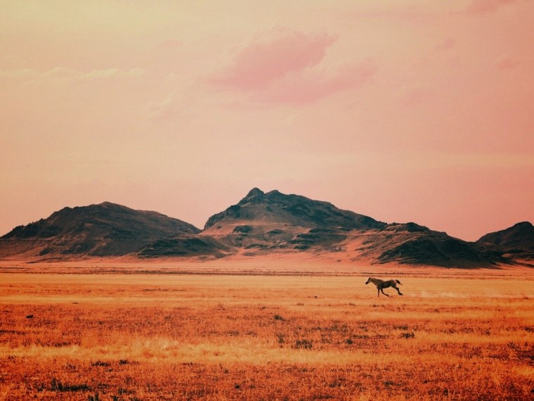 Равнина Уэлдер Техас