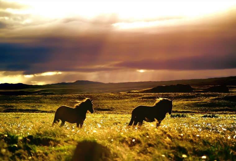 Пустыня Нью Мексико