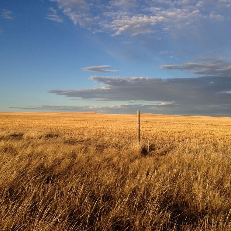 Национальный заповедник Tallgrass Prairie