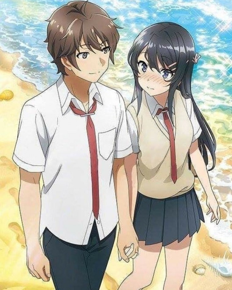 Сейшун Бута аниме