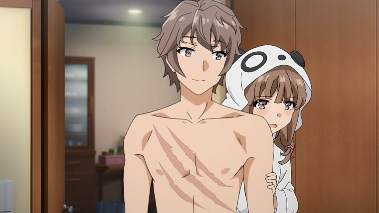 Аниме Seishun buta Yarou WA Bunny финал