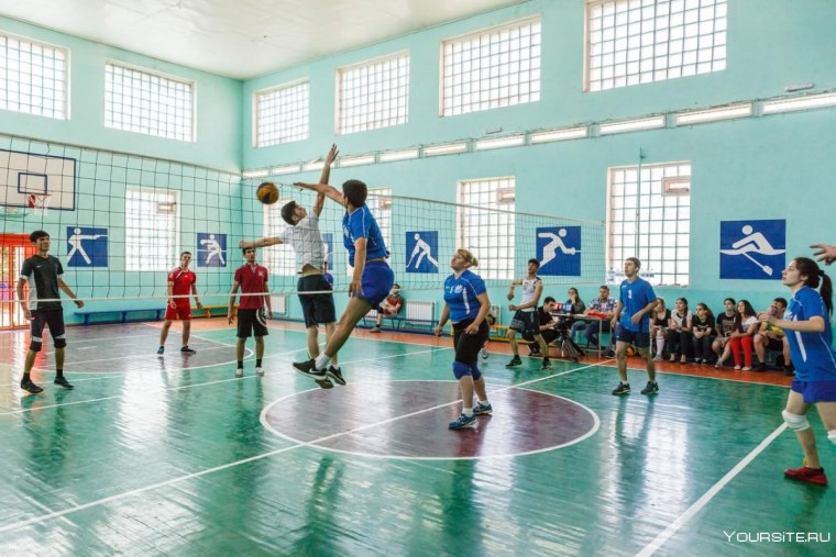 Физкультура волейбол