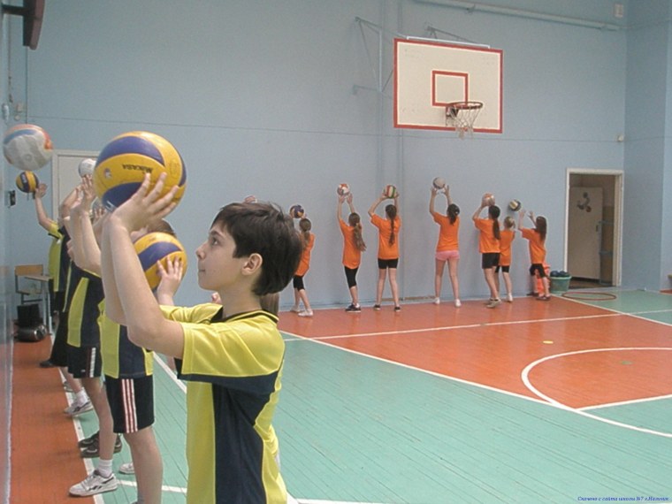 Секции школьные волейбольные