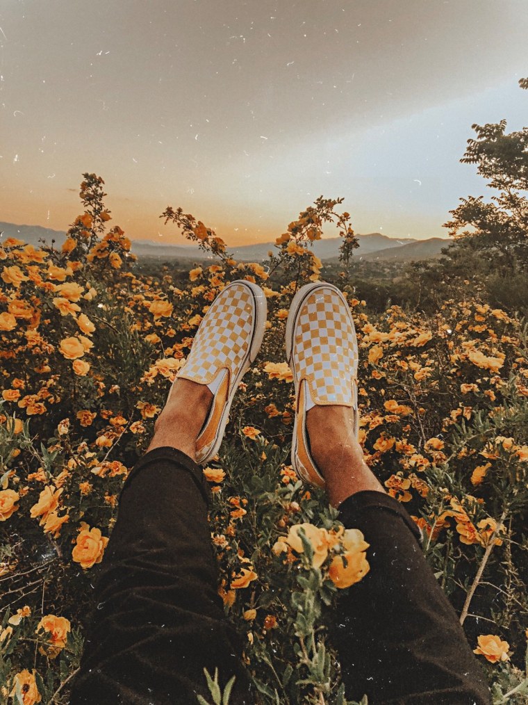 Эстетика красивая