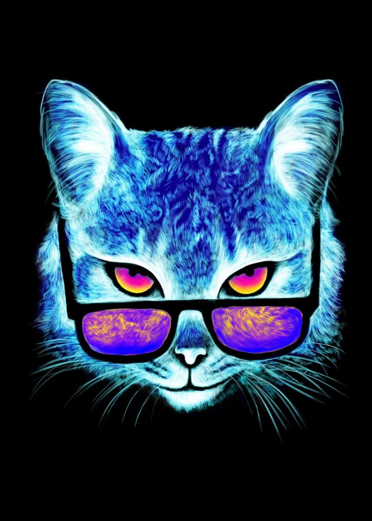 Котик показывающий средний палец