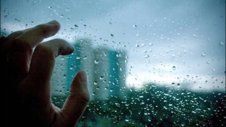 Вид через стекло