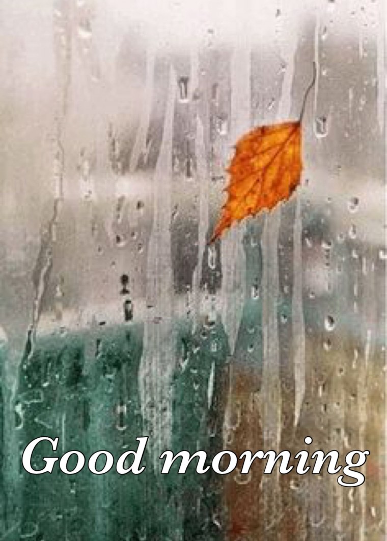 Осень дождь грусть