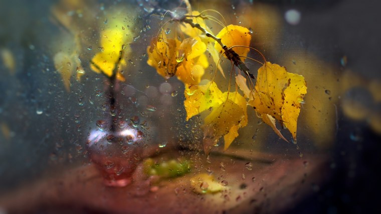 Осень дождь