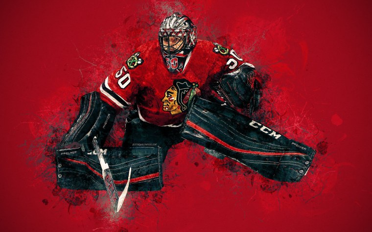 Хоккейный вратарь арт