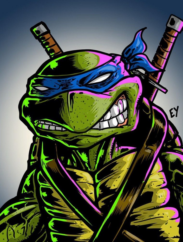 TMNT 80s