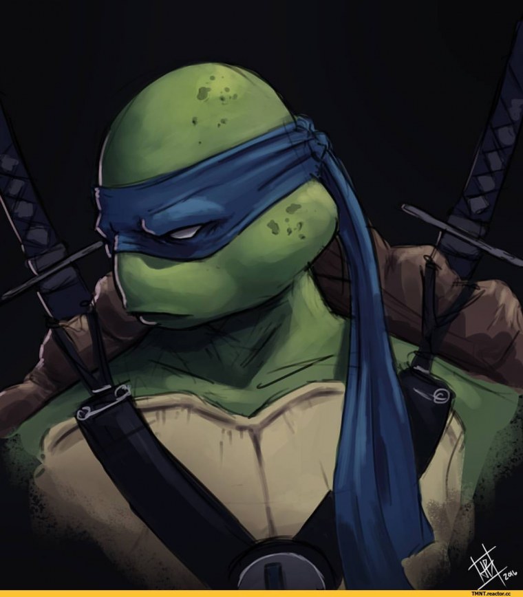 Черепашки ниндзя Леонардо