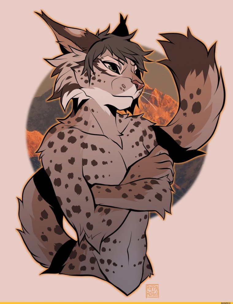 Арысь-поле (оборотень-Рысь)