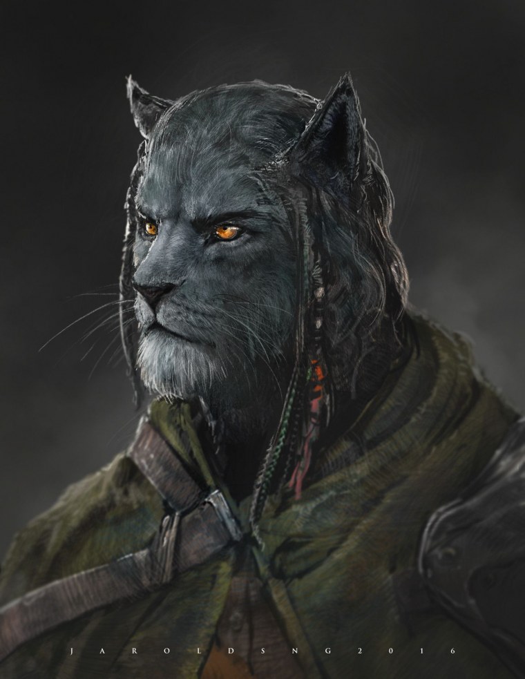 Каджит воин