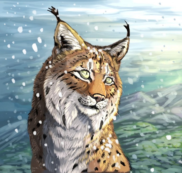 Фурри Лис kenket