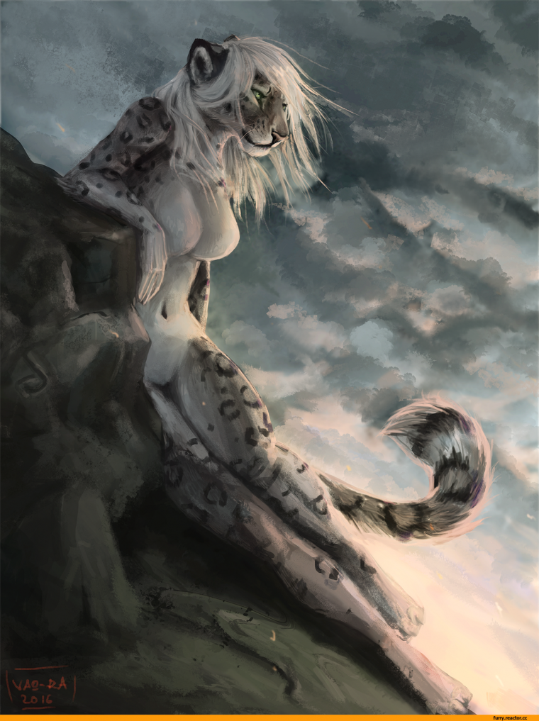 Снежный Барс и леопард