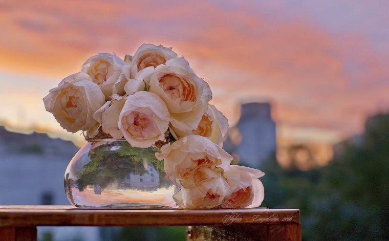 Нежные цветы и море