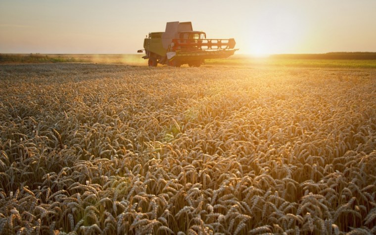 Агропромышленный комплекс Ставропольского края