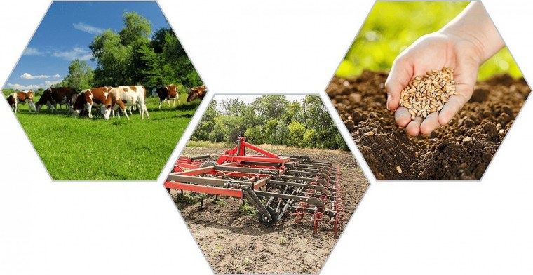 Сельского хозяйства и перерабатывающей промышленности