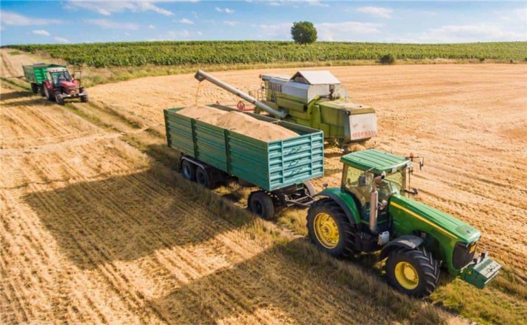 Сельское хозяйство