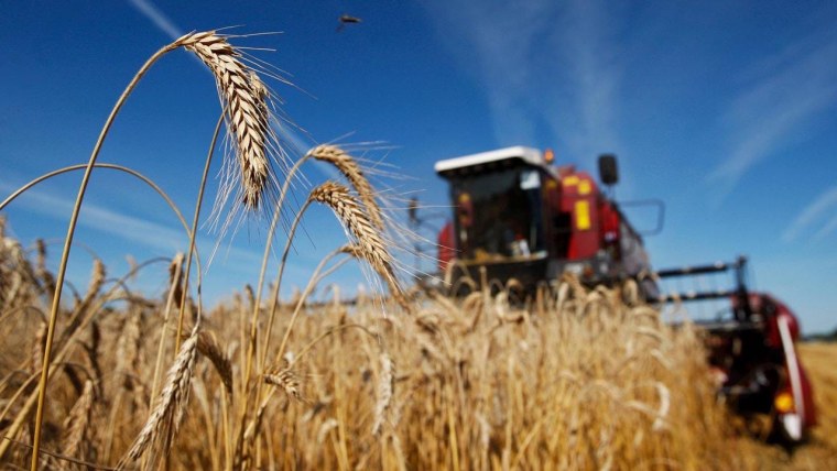 Крестьянско-фермерское хозяйство в РФ