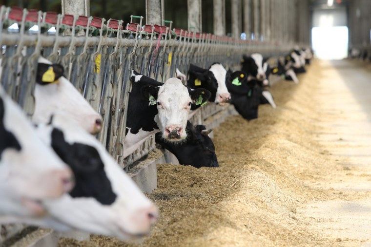 АПК В Краснодарском крае Растениеводство