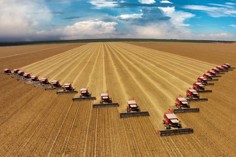 Сельское хозяйство Растениеводство овощеводство