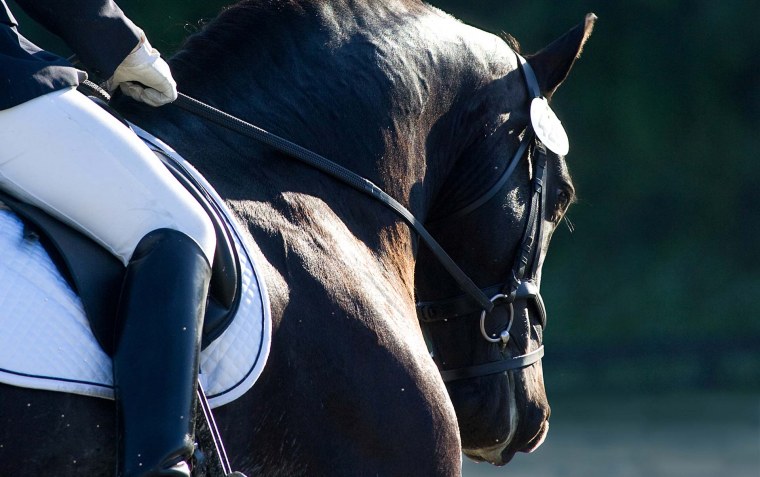 Выездка Эстетика