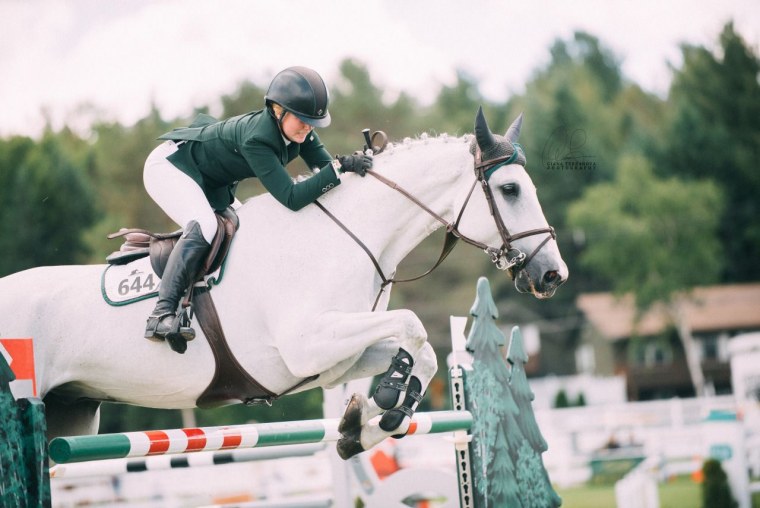 Эстетика конного спорта конкур