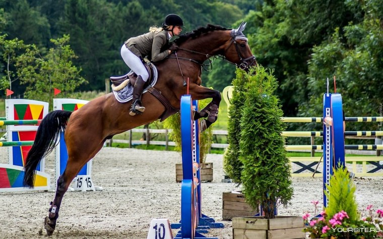 Прыжок Хикстеда 2008