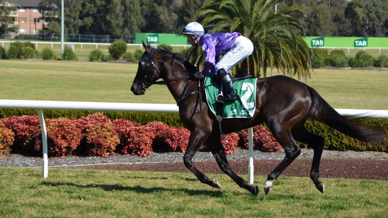 Конный спорт фон