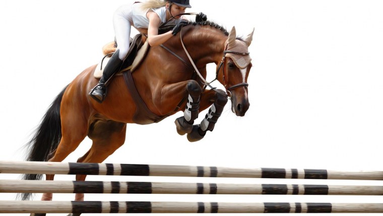 Конкур всадник