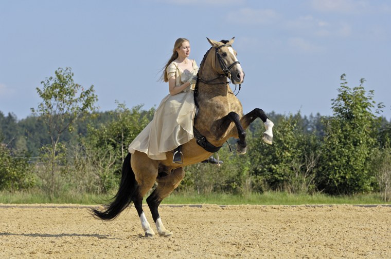 Жокей конный спорт