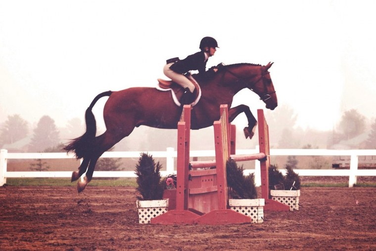 Лошадь прыгает