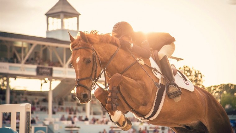 Конная версия клипа поболело и прошло
