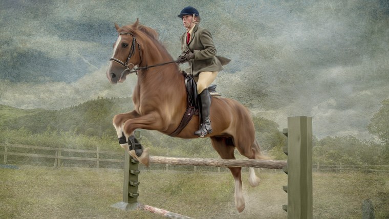 Шуман смелый наездник иллюстрация