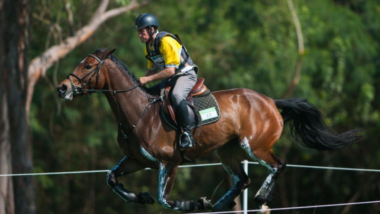Лошадей скачки дерби