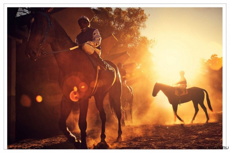 Конный спорт Эстетика