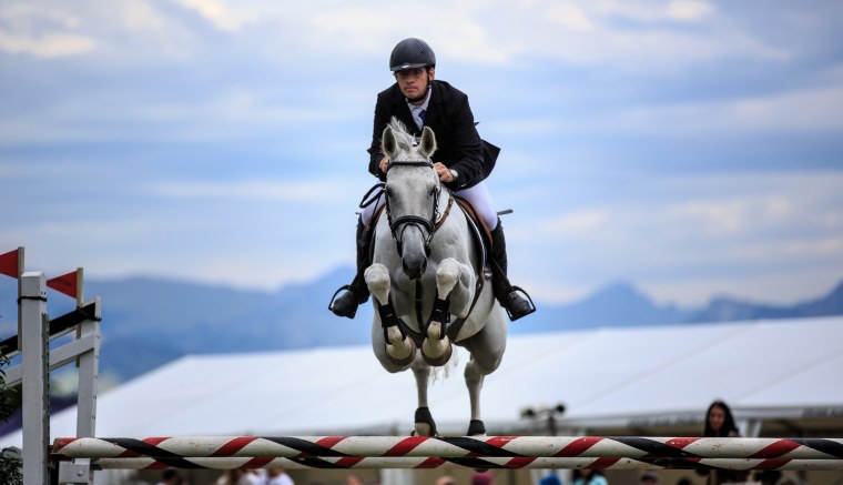 Лошадь в прыжке конкур