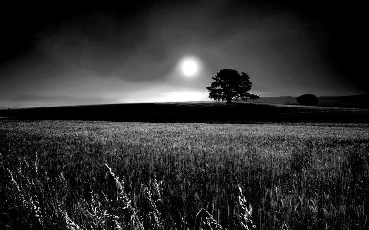 Белый закат