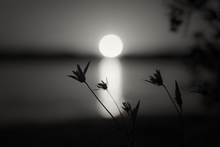 Черный рассвет