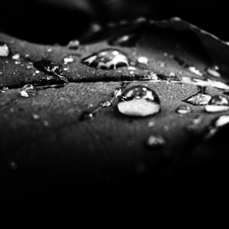 Обои на телефон темный фон