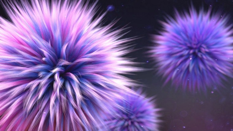 Фиолетовый пушистый фон