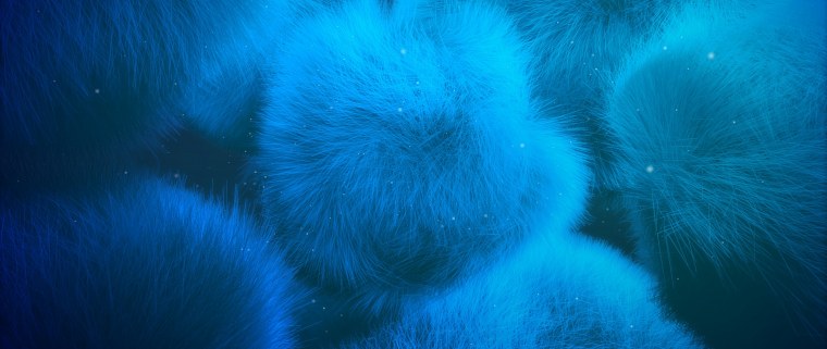 Смешные мордочки