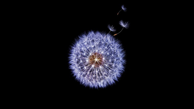 Маятник Ньютона гиф