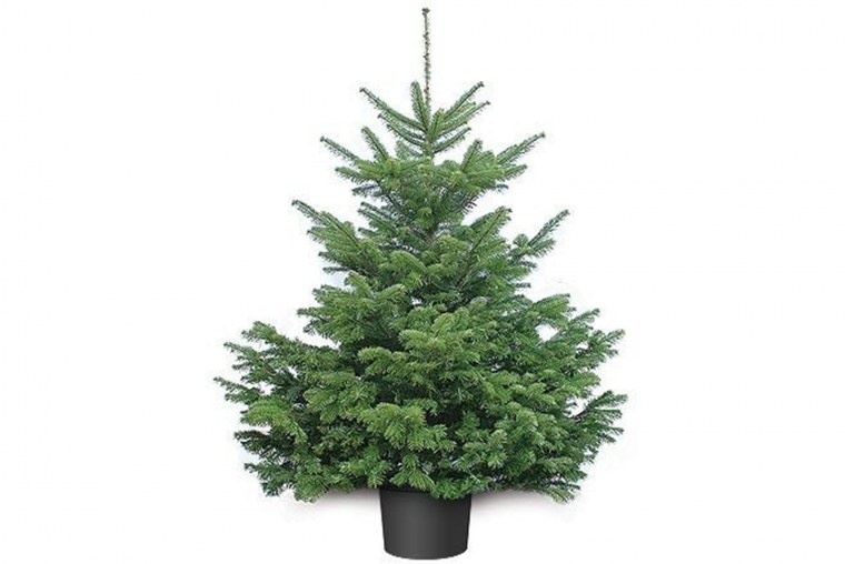 Snowmen сосна 33 е80404