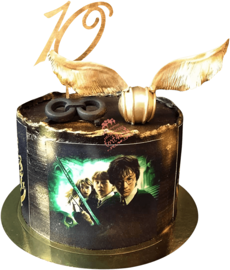 Торт Гарри Поттер с Малфоем
