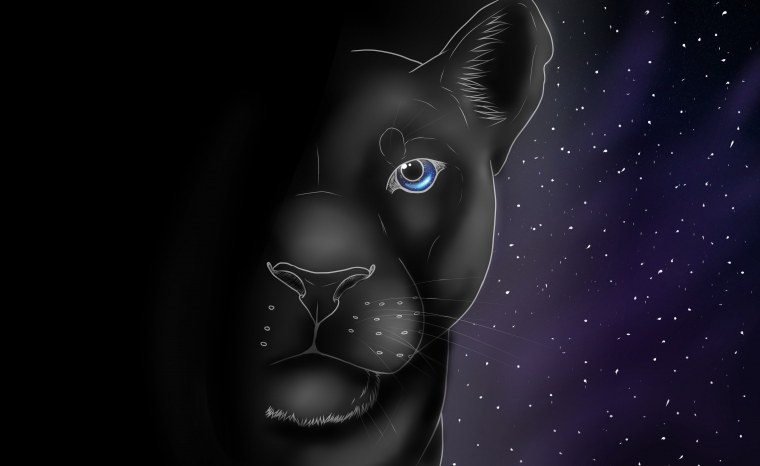 Пантера на черном фоне