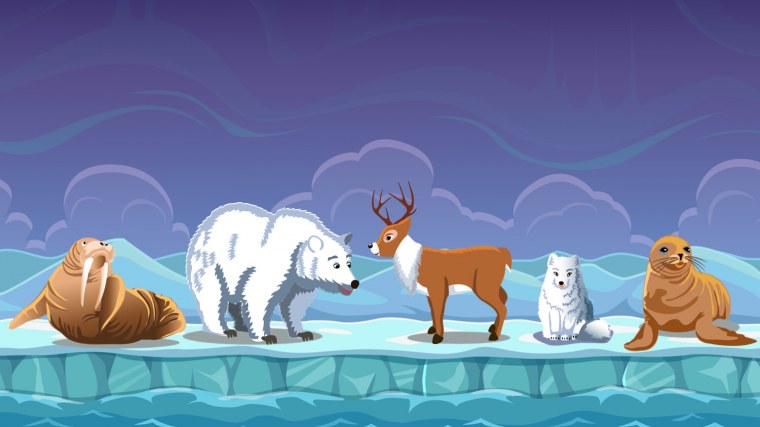 Животные севера для детей